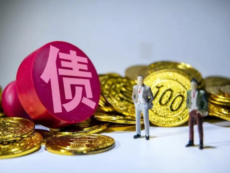 有限公司的股东需要承担什么样的责任？